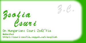 zsofia csuri business card